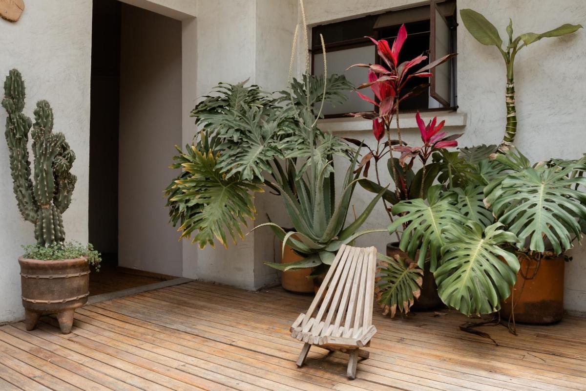 Casa Lomah Hotel Mexico City Exterior photo