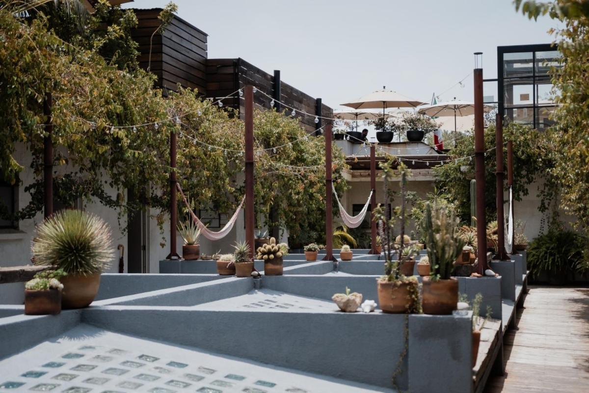Casa Lomah Hotel Mexico City Exterior photo