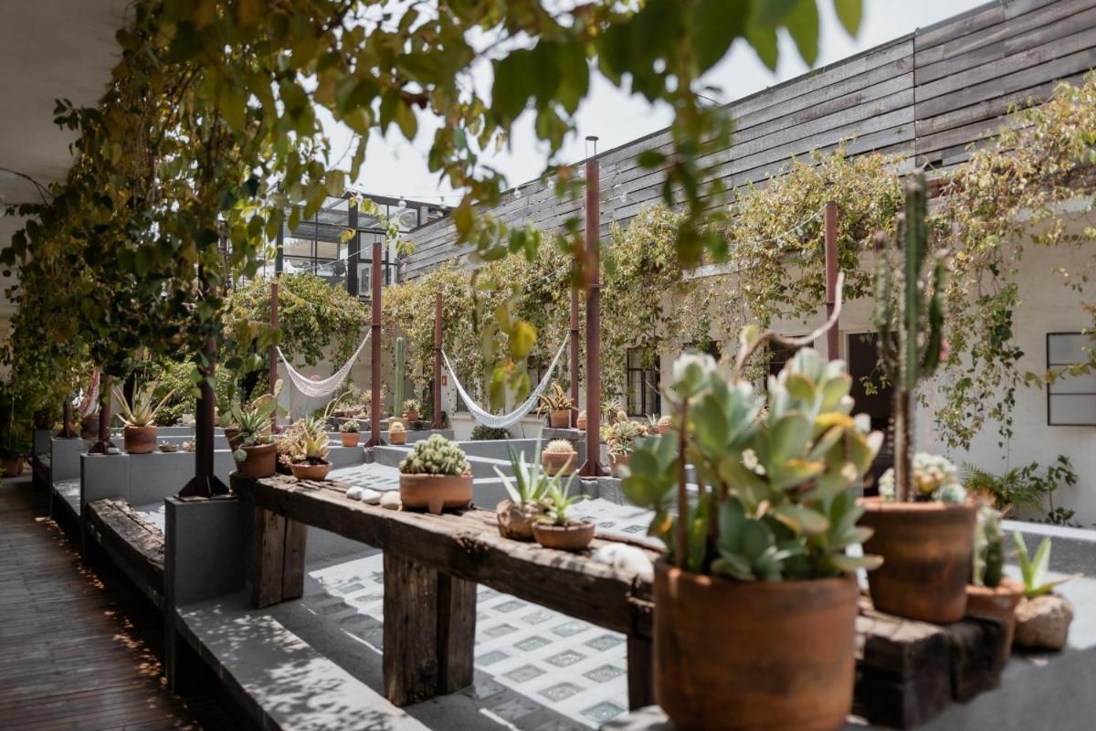 Casa Lomah Hotel Mexico City Exterior photo