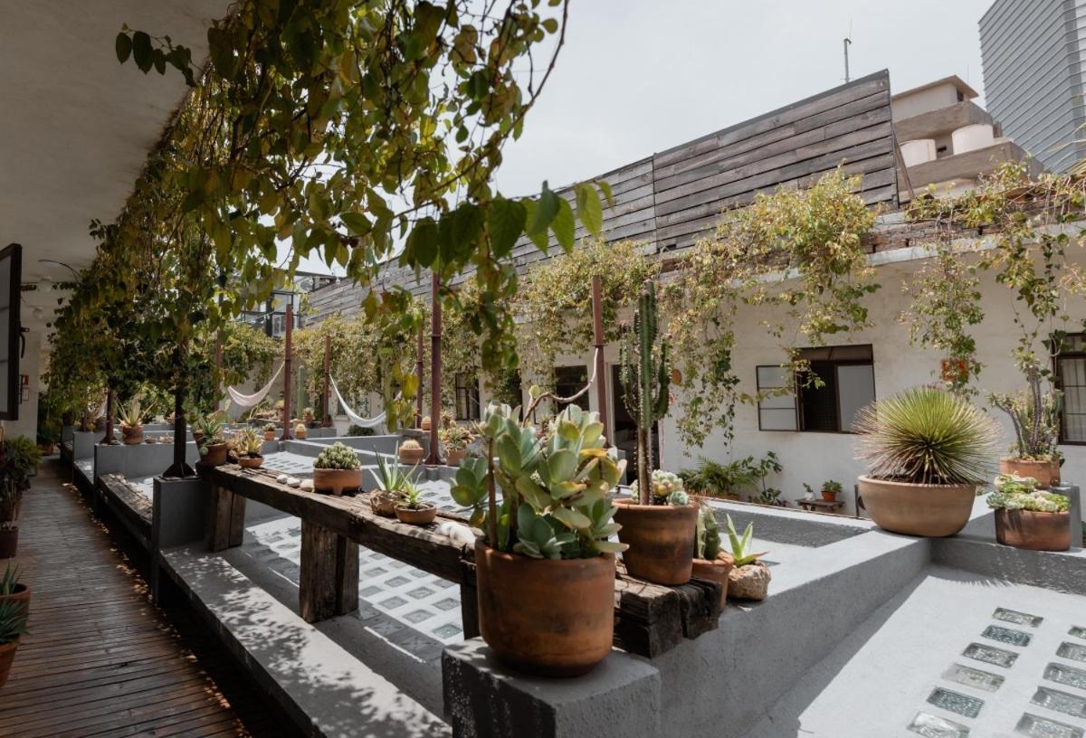 Casa Lomah Hotel Mexico City Exterior photo